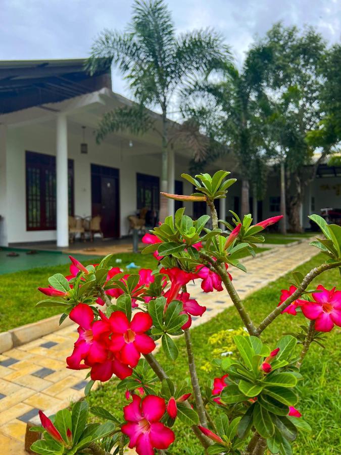 Sigiriya Green Garden Home Εξωτερικό φωτογραφία
