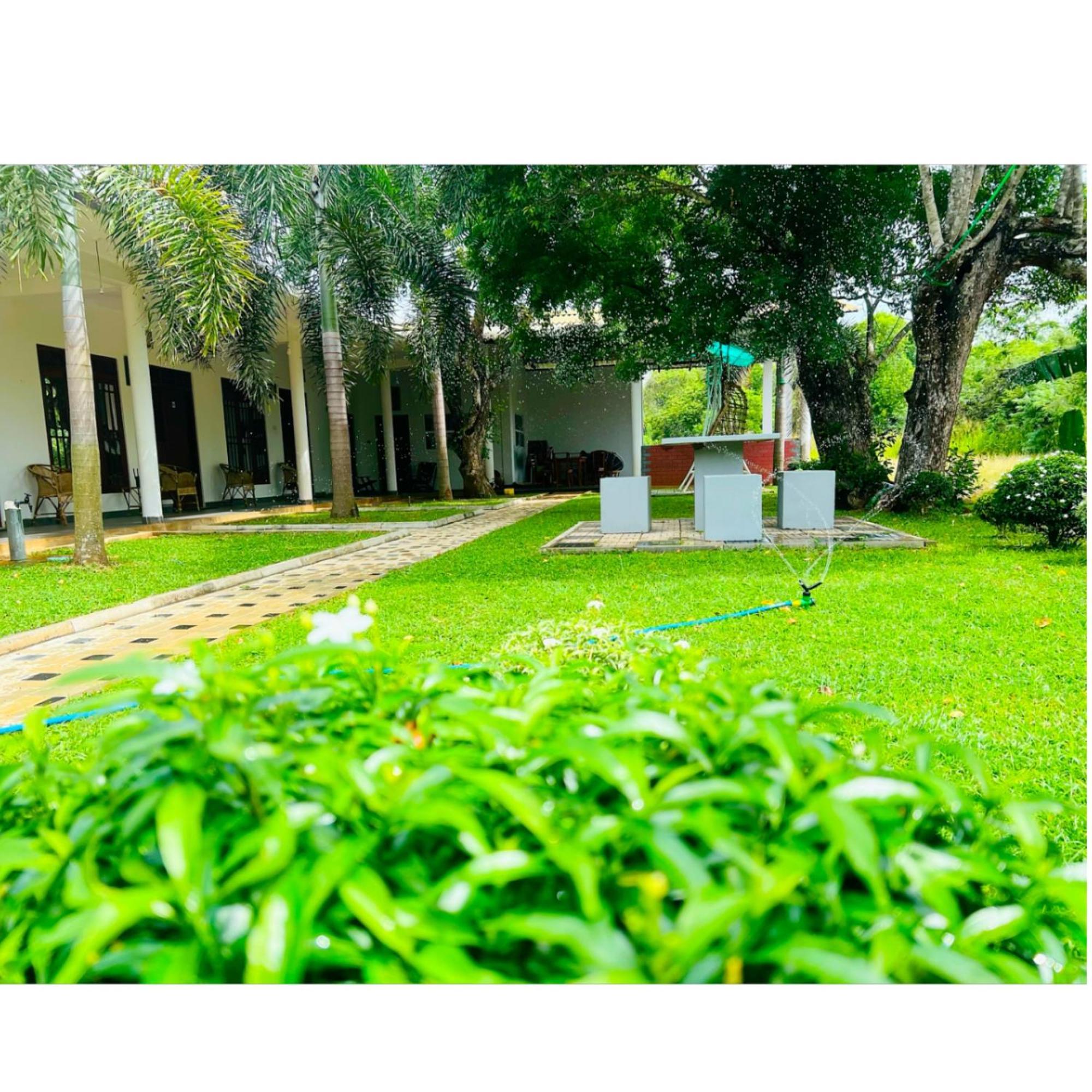 Sigiriya Green Garden Home Εξωτερικό φωτογραφία